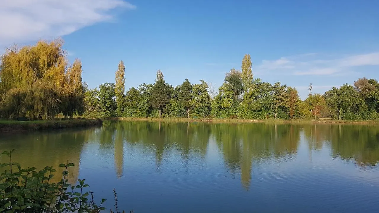 Séjour chez l'habitant Appartement Artbnb à Lezat-sur-Leze