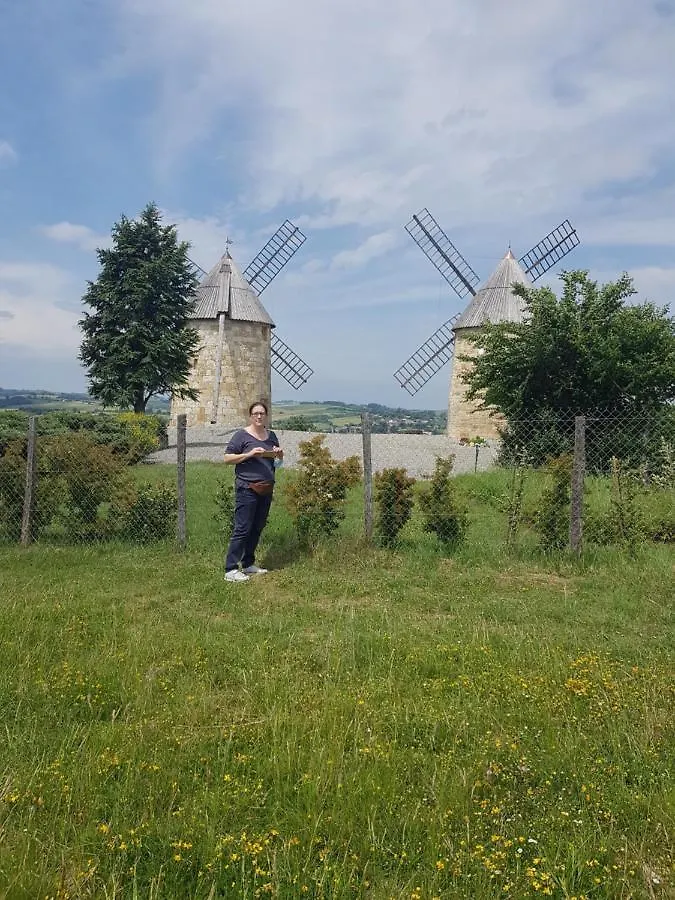 Appartement Artbnb à Lezat-sur-Leze Séjour chez l'habitant
